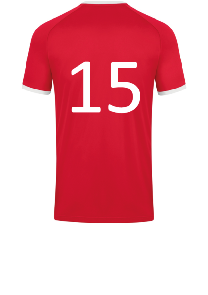 Beflockung Nummer hinten