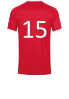 Beflockung Nummer hinten