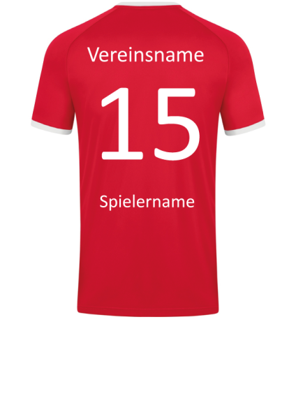 Beflockung Verein, Nummer Name hinten