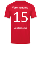 Beflockung Verein, Nummer Name hinten