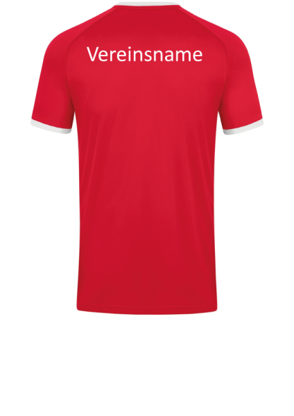 Beflockung Verein hinten