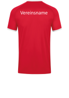 Beflockung Verein hinten