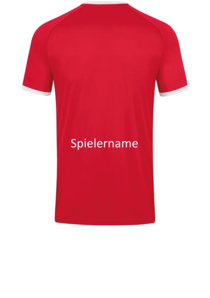 Beflockung Spielername hinten