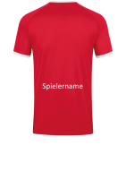 Beflockung Spielername hinten