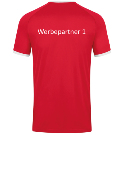 Beflockung Werbepartner hinten